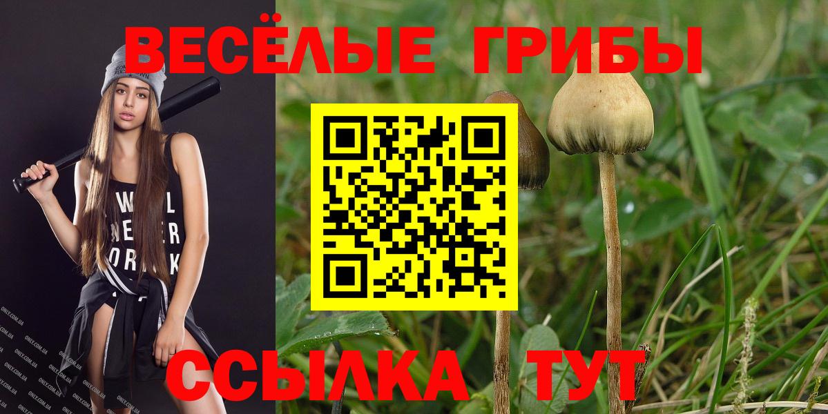 Партизанск  купить наркотики сайты  Галлюциногенные грибы Psilocybine cubensis  Вход с VPN  Галлюциногенные грибы Cubensis 